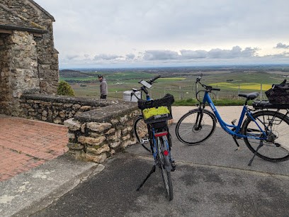 Alta Bike, Loueur de Vélos à Hautvillers