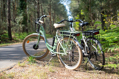 Louetonvelo.com Capbreton Service De Location De Vélos à Capbreton