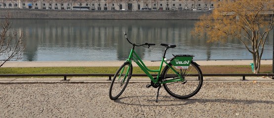 Agence Freevélo'v, Loueur de Vélos à Villeurbanne