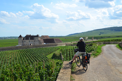 Bourgogne Evasion By Active Tours Nuits Service De Location De Vélos à Nuits-Saint-Georges