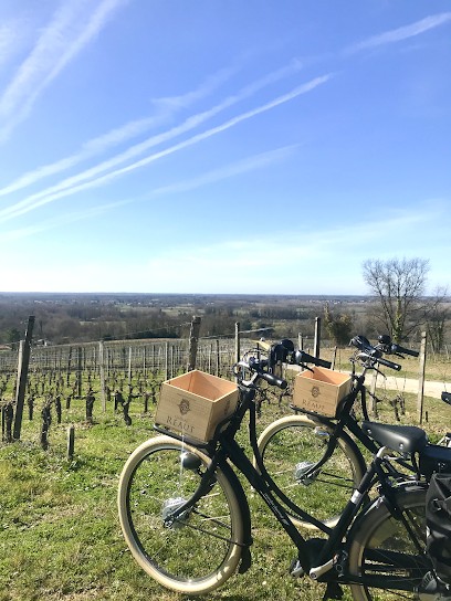 La Bulle Verte- Château Réaut, Loueur de Vélos à Rions