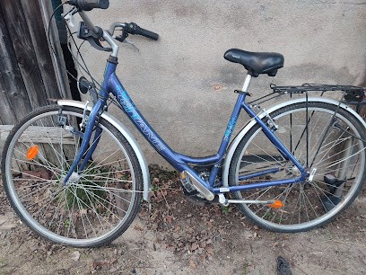 rapid'cycles, Atelier de Réparations Vélos à Gouise