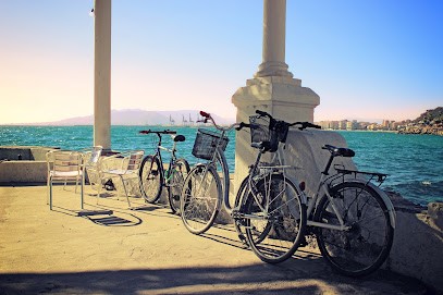 Ouibike, Loueur de Vélos à Plescop