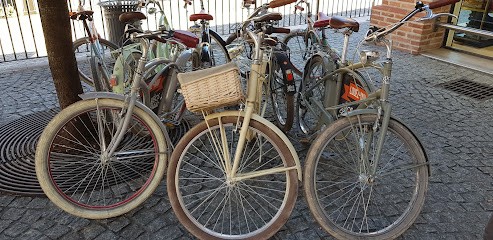 Les Vélos De Frédo, Loueur de Vélos à Albi