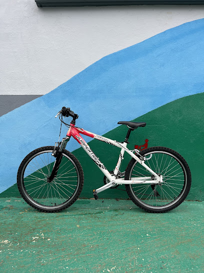 Vélo Voie Verte Service De Location De Vélos à Pau