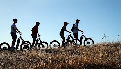 Sud Aveyron Experience, Loueur de Vélos à Saint-Affrique