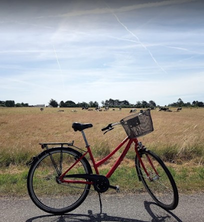 Veloc'Ouest by IBIS Budget - Livraison de vélos - HENNEBONT, Loueur de Vélos à Hennebont