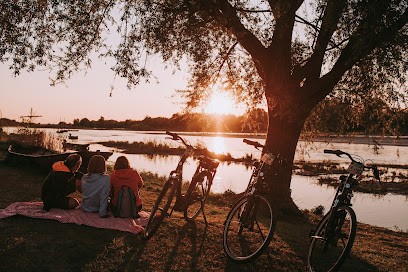 Stations Bee's vélos électriques - Montrichard, Magasin de Vélos à Montrichard Val de Cher
