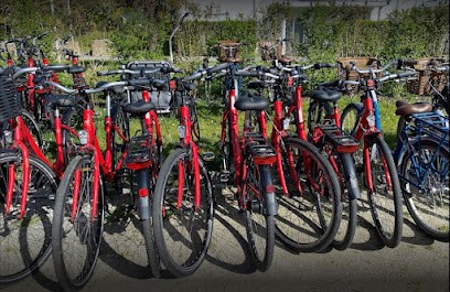 Véloc'Ouest - Location De Vélo - Réservation En Ligne - La Voile D'Or, Loueur de Vélos à Île-aux-Moines