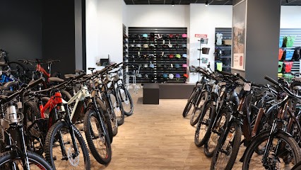 Cycles Blain Vienne Sud - Vente & Reparation Velo Electrique, Magasin de Vélos à Vienne