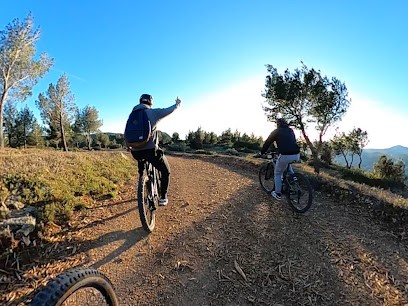 Trolib / Location Et Tours Vélos Et VTT électriques (e-mountain Bike Rental And Tours), Loueur de Vélos à Cassis