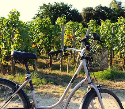 UNIBIKE - Bike Rental Saint-Emilion, Loueur de Vélos à Saint-Émilion