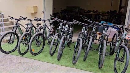 Location Vélo La Chens Qu'on A, Service De Location De Vélos à la Bastide