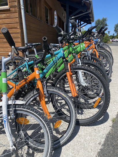 Insercycles Bassin D'arcachon Et Val De L'eyre Service De Location De Vélos au Teich