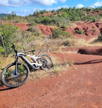 Guibert Joël, Loueur de Vélos à Cordes-sur-Ciel