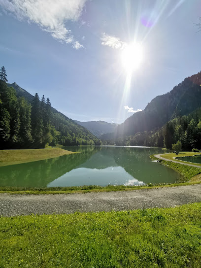 Start Line Mtb Lac Du Montriond, Location Velo / Bike Hire, Service De Location De Vélos à Montriond