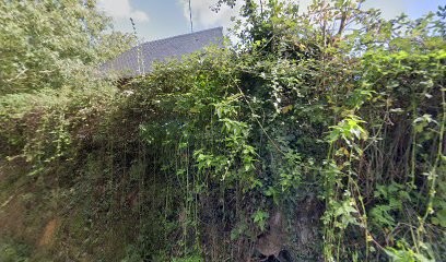 Lieurey Vélo - Thierry Pécé, Atelier de Réparations Vélos à Lieurey