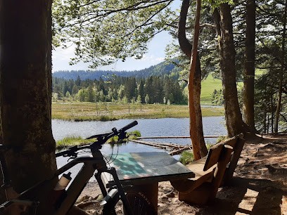Go Loisirs - Vallée Kaysersberg Lac Blanc, Loueur de Vélos à Kaysersberg Vignoble