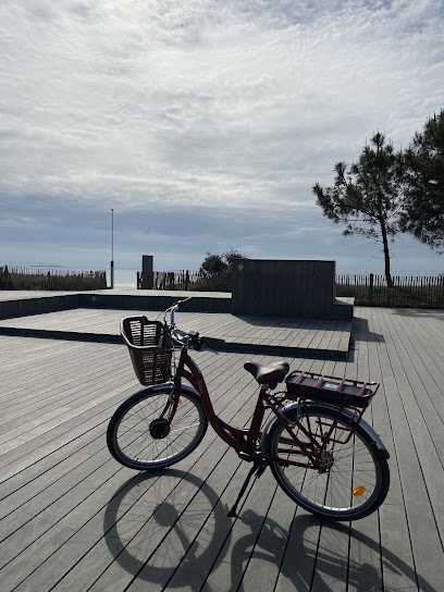 Veloc'ouest By Best Western Plus Vannes Centre - Livraison De Vélos - Vannes Service De Location De Vélos à Vannes