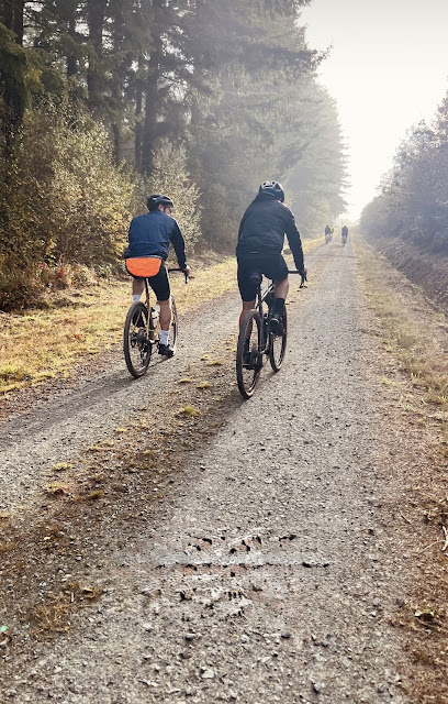 En Roue Libre, Atelier De Réparation De Vélos à Guidel