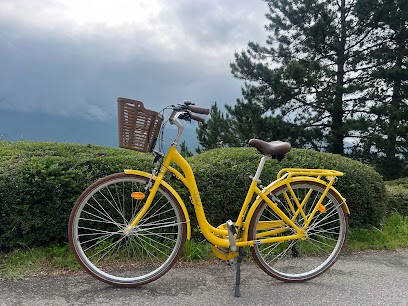 LOCATION VELO / RENT BIKE DOUSSARD, Loueur de Vélos à Lathuile