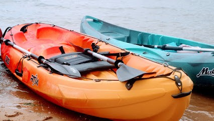 Le vélo mandarine, Loueur de Vélos à Port-Louis