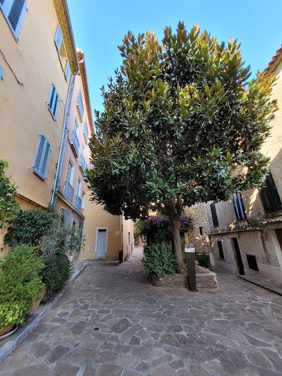 VélOVillage, Loueur de Vélos à Bormes-les-Mimosas