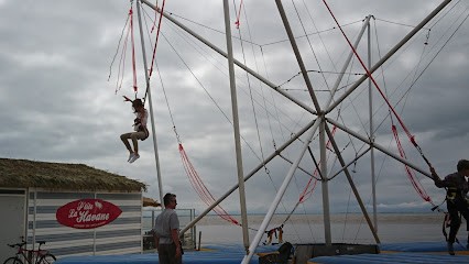 Locavélo, Loueur de Vélos à Châtelaillon-Plage