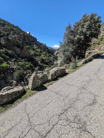 Location De Vélo électrique Altipiani Corse, Loueur de Vélos à Corte