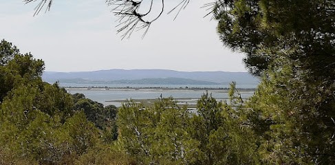 Bike In Clape, Loueur de Vélos à Narbonne