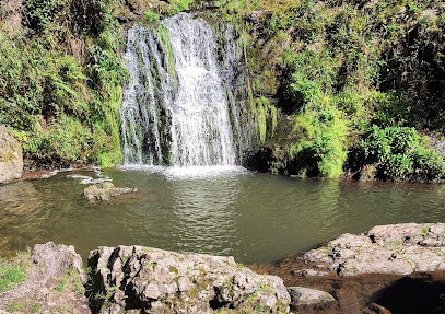 Natur'O Vélo Xertigny, Loueur de Vélos à Xertigny