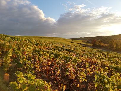 Sancerre à Vélo, Loueur de Vélos à Saint-Satur