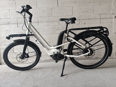 DE LA SELLE AU GUIDON, Loueur de Vélos à Épernay