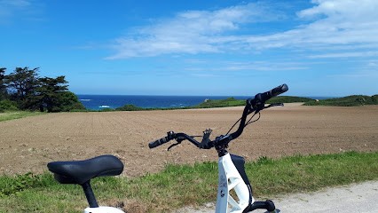 Emeraude Bikes, Loueur de Vélos à Fréhel