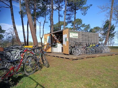 Cycles Vacances Plus Plage, Loueur de Vélos à Sanguinet