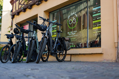 Alsa Cyclo Tours Service De Location De Vélos à Colmar