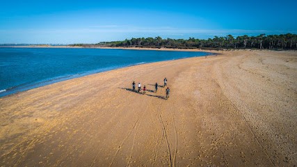 Fat Sand Bikes 17, Loueur de Vélos à La Tremblade