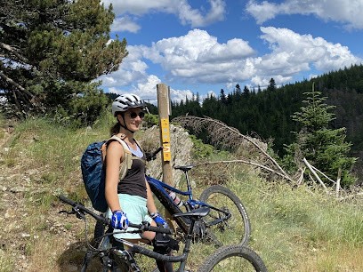 Location De Vélo Électrique Station Alti Aigoual VTT VTC Route, Loueur de Vélos à Notre-Dame-de-la-Rouvière