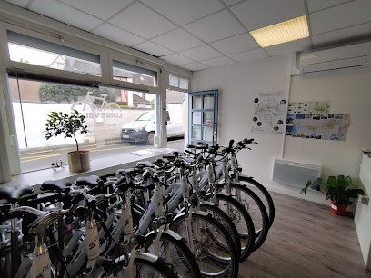 Loire Bikes, Loueur de Vélos à Amboise