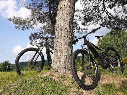 Vollore VTT AE, Loueur de Vélos à Vollore-Montagne