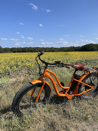Royal Fat Bike, Service De Location De Vélos à Montlivault