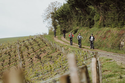 Vinorizon - Location De Trottinettes Électriques Tout-Terrain, Service De Location De Vélos à Crézancy-en-Sancerre