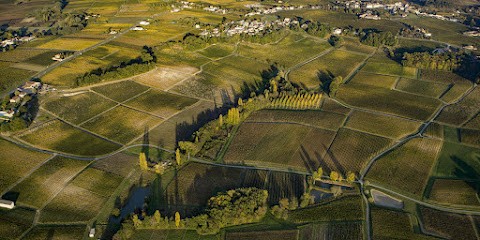 La Bulle Verte - Château Haut Beynat / Vignobles Cardoso, Loueur de Vélos à Belvès-de-Castillon