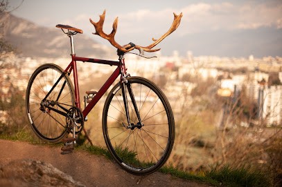 Cyclothérapeute - Atelier Vai T'en - Réparation, Vente, Location De Vélos à Carbonne, Atelier de Réparations Vélos à Carbonne