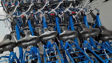 Chris Location Royan, Loueur de Vélos à Royan