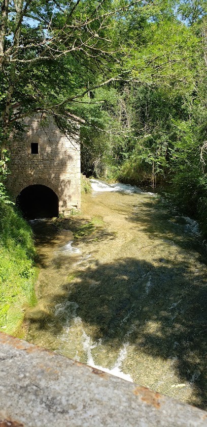 Roue Libre, Loueur de Vélos à Albas