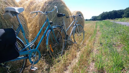BaladesVelo.com, Loueur de Vélos à Cadalen