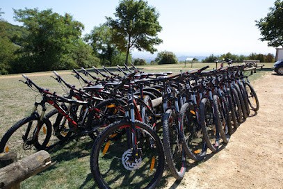 Génération Vtt, Loueur de Vélos à Curis-au-Mont-d'Or