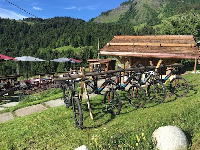 L'AUTHENTIQUE - Location Vtt électrique, Loueur de Vélos à Saint-Nicolas-la-Chapelle