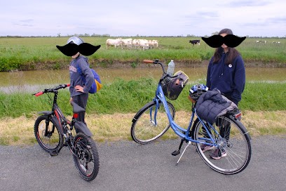 Eau Vél'O De L'Atlantique, Loueur de Vélos à Luçon